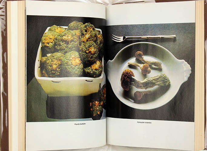 HIGH TIMES ENCYCLOPEDIA OF RECREATIONAL DRUGS
