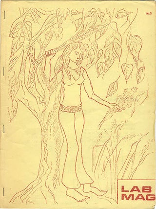 THE ARTS LABS NEWSLETTER (London: BIT Information Service, October 1969-August 1971). 17 issues (all published)