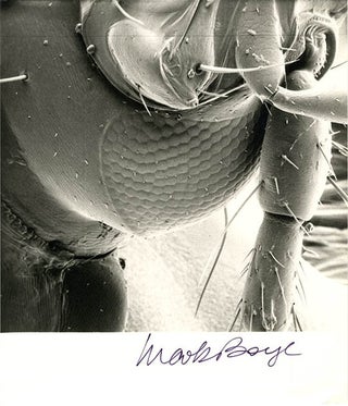 Mark Boyle’s Journey to the Surface of the Earth.