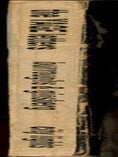 The Yage Letters.
