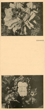 A flyer announcing a screening of “Daydream of Darkness”, a film by Helen Adam and William McNeill with music by Pauline Oliveros, at the Peacock Gallery, San Francisco, November 22, 1963.